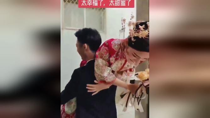 宠物食品海运菲律宾双清到门专线